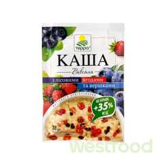 Каша Терра 38г Вівсяна з лісовими ягодами