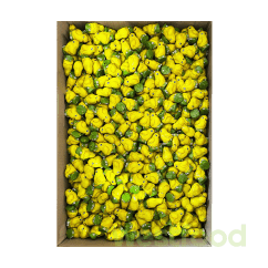 Вагові Шоколадні курчата, ящик 17,5 (16,5)кг