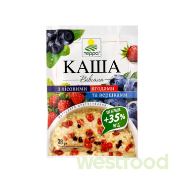 Каша Терра 38г Вівсяна з лісовими ягодами