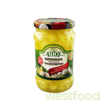 Цибулька Золотиста 290мл Ріо /уп.12шт/