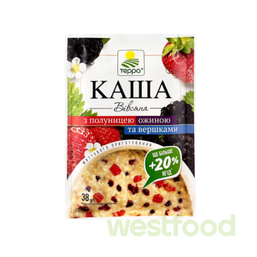 Каша Терра 38г Вівсяна з полуницею та ожиною