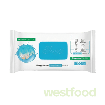 Серветки вологі SLEEPY Easy Clean Ocean 100шт блакитний клап